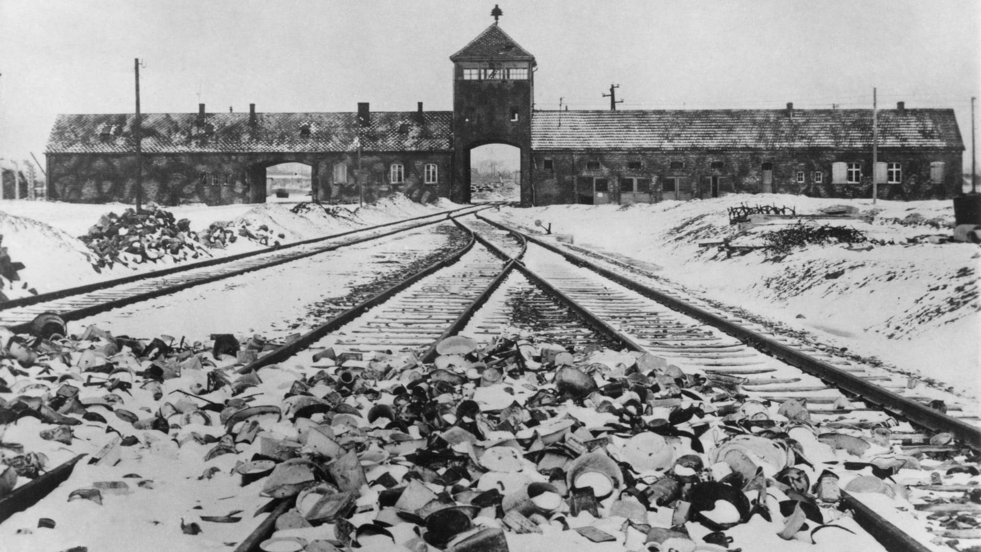 00265953Konzentrationslager Auschwitz-Birkenau nach der Befreiung: József Debreczeni überlebte den Holocaust.