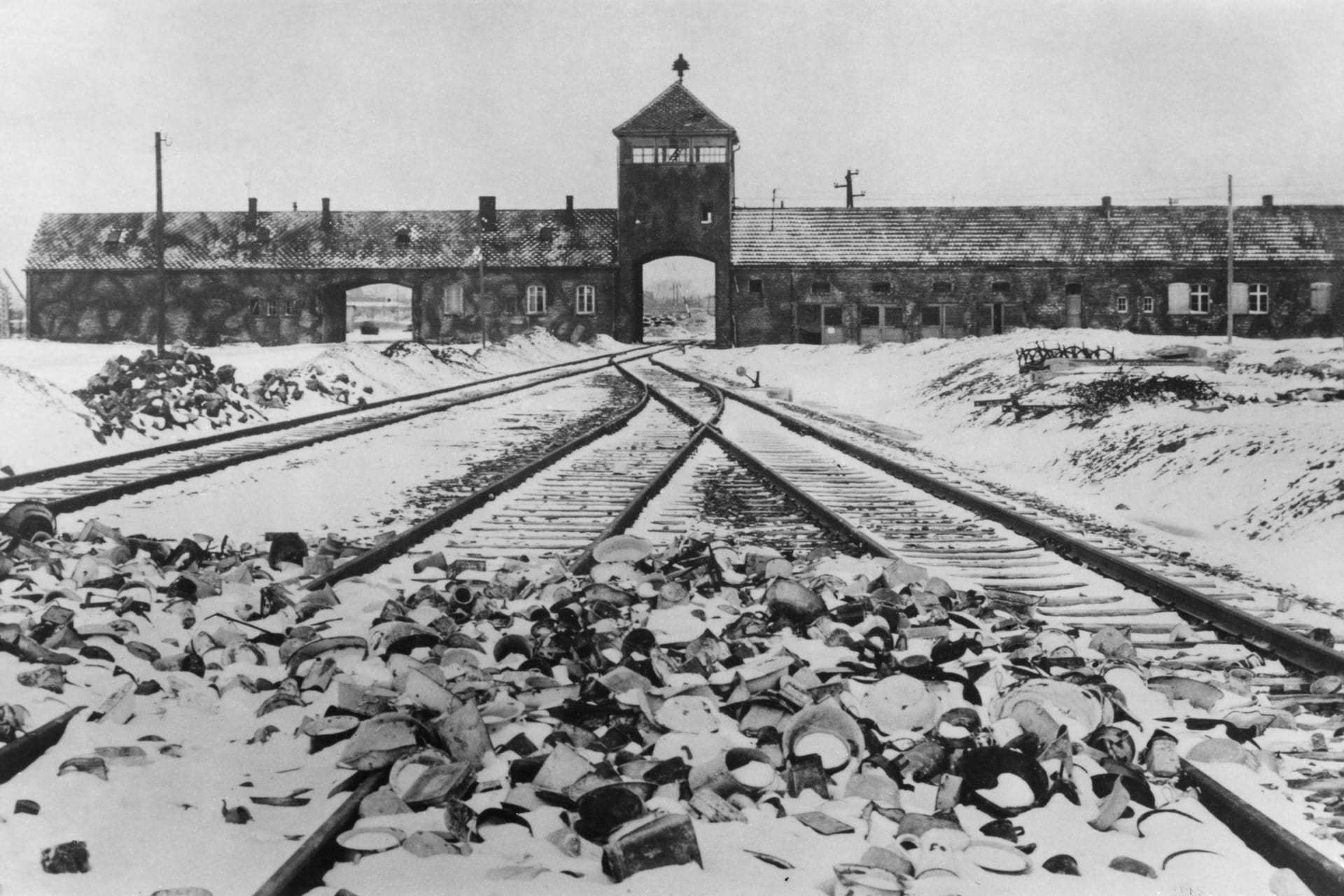 00265953Konzentrationslager Auschwitz-Birkenau nach der Befreiung: József Debreczeni überlebte den Holocaust.