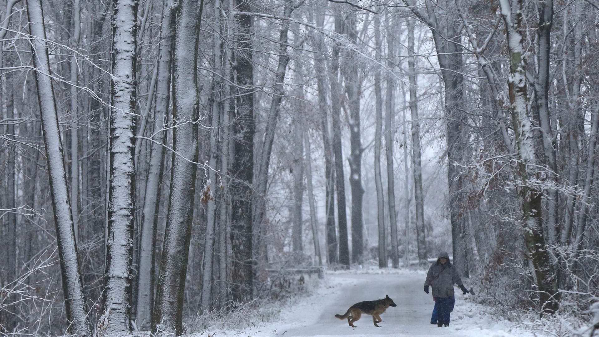 Schnee in NRW - Warnung vor Spaziergang im Wald