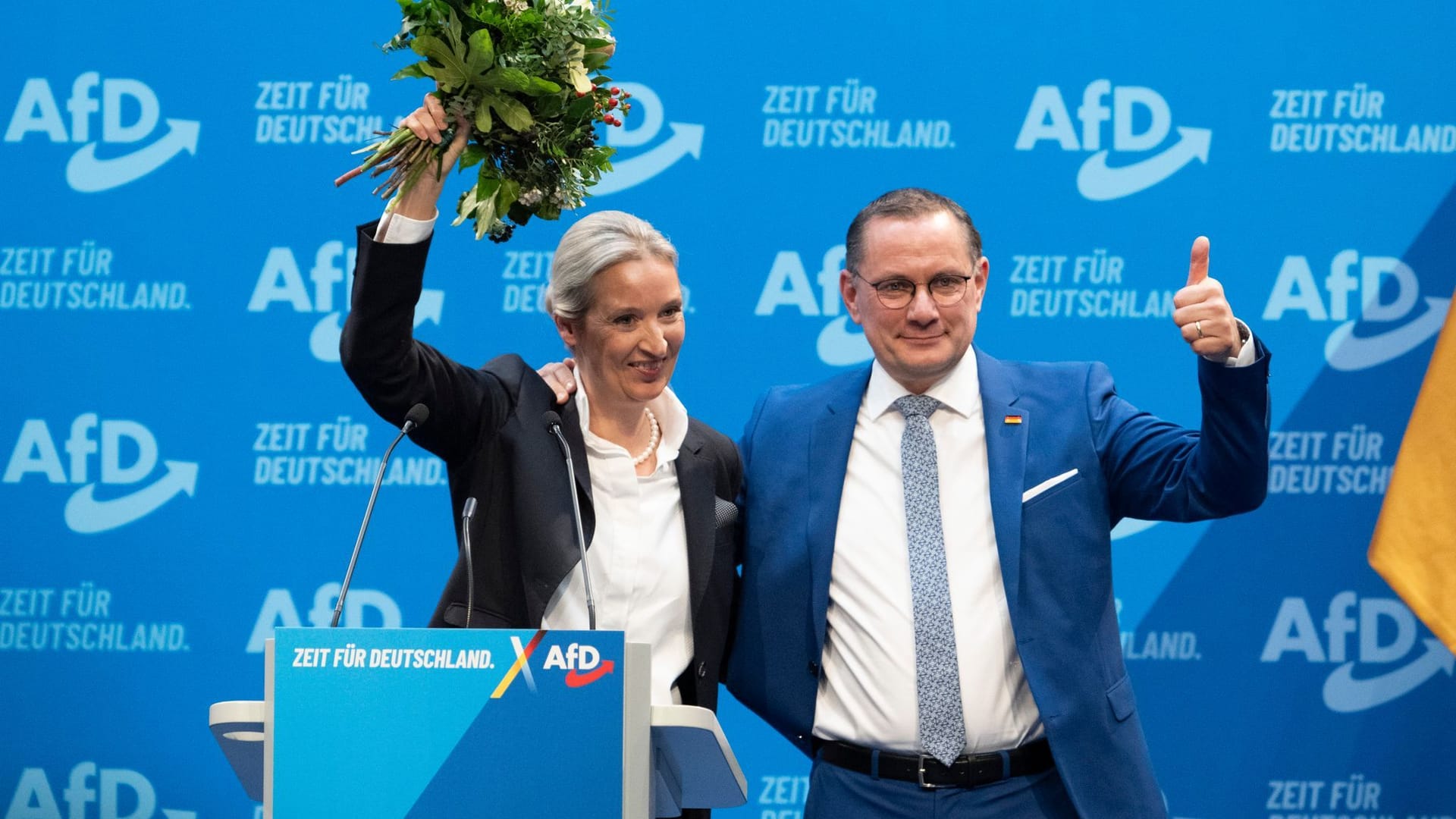 AfD-Bundesparteitag in Riesa