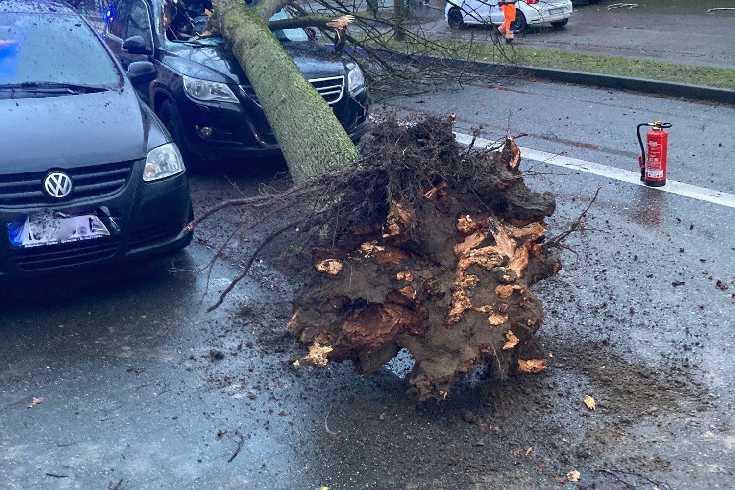 Ein Baum ist auf ein Auto gekracht: Feuerwehrleute und Polizeibeamte rückten am Montag häufig aus.