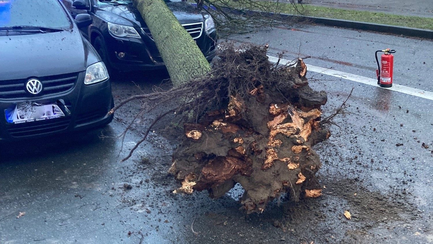 Ein Baum ist auf ein Auto gekracht: Feuerwehrleute und Polizeibeamte rückten am Montag häufig aus.