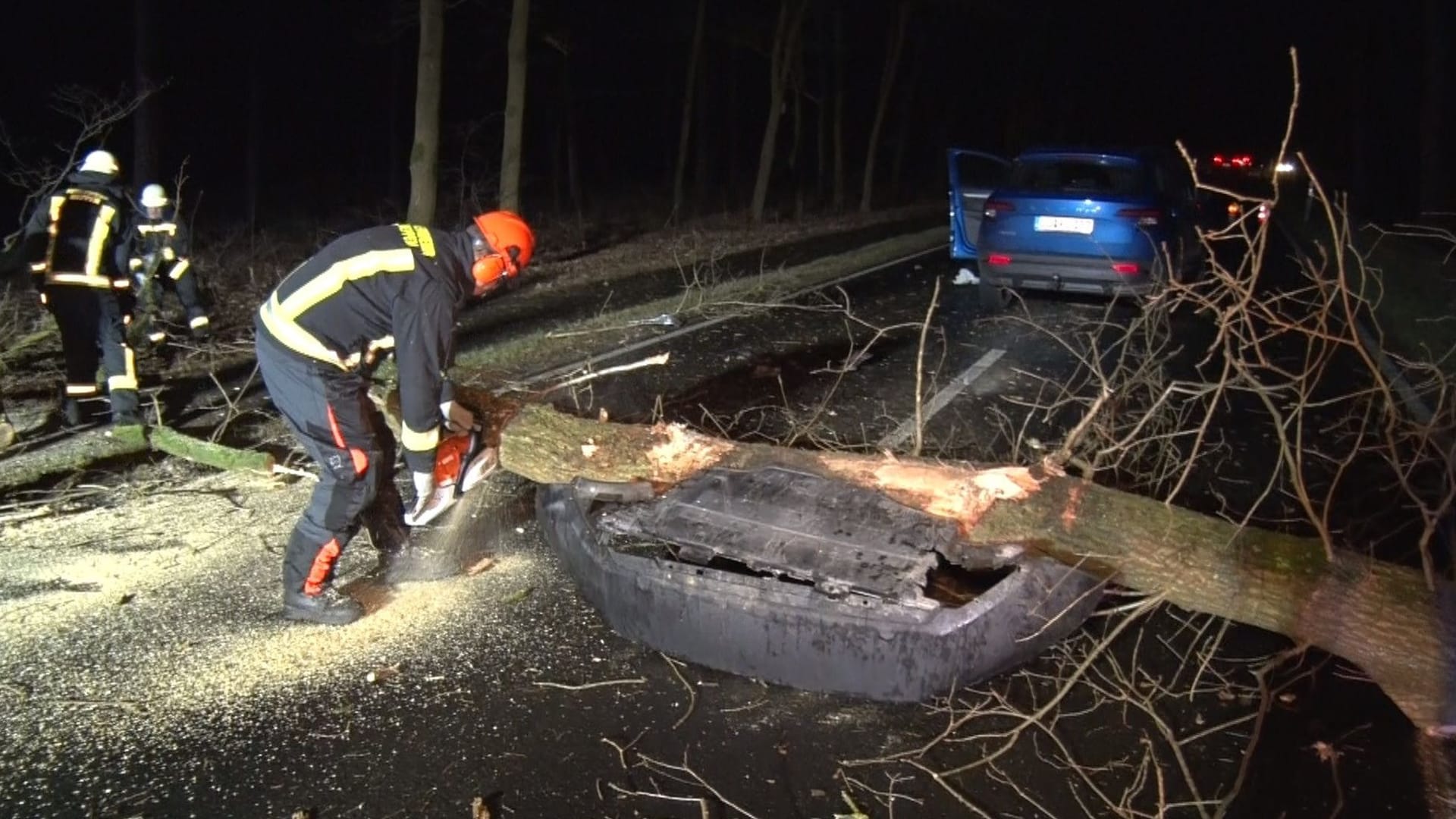 Ein Baum stürzte in Meppen (Landkreis Emsland) auf die Straße und eine Autofahrerin fuhr mit ihrem Wagen dagegen. Die 60-Jährige wurde bei dem Unfall leicht verletzt.