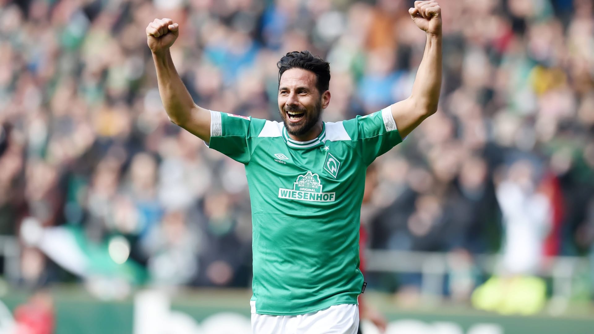 Claudio Pizarro bejubelt eines seiner vielen Werder-Tore (Archivbild): Der Peruaner wurde in seiner Heimat zum Ehrenprofessor ernannt.