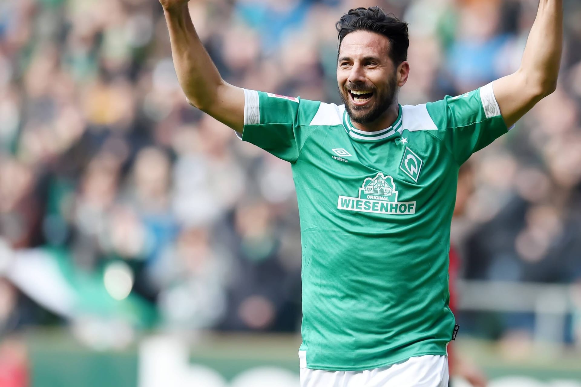 Claudio Pizarro bejubelt eines seiner vielen Werder-Tore (Archivbild): Der Peruaner wurde in seiner Heimat zum Ehrenprofessor ernannt.