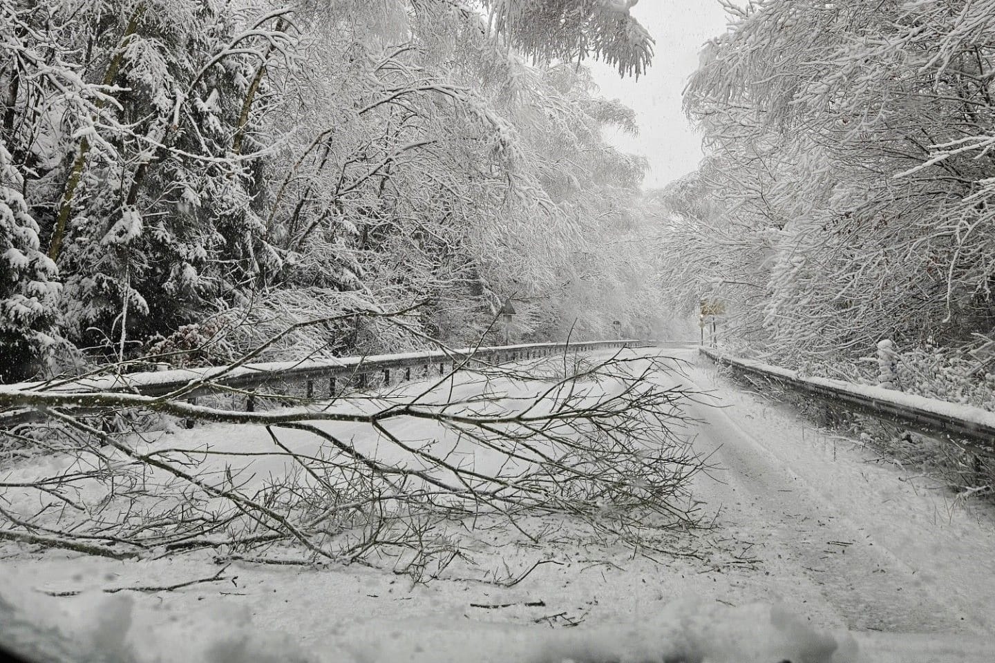 Ein umgestürzter Baum liegt auf der Straße zwischen Stolberg und Eschweiler.