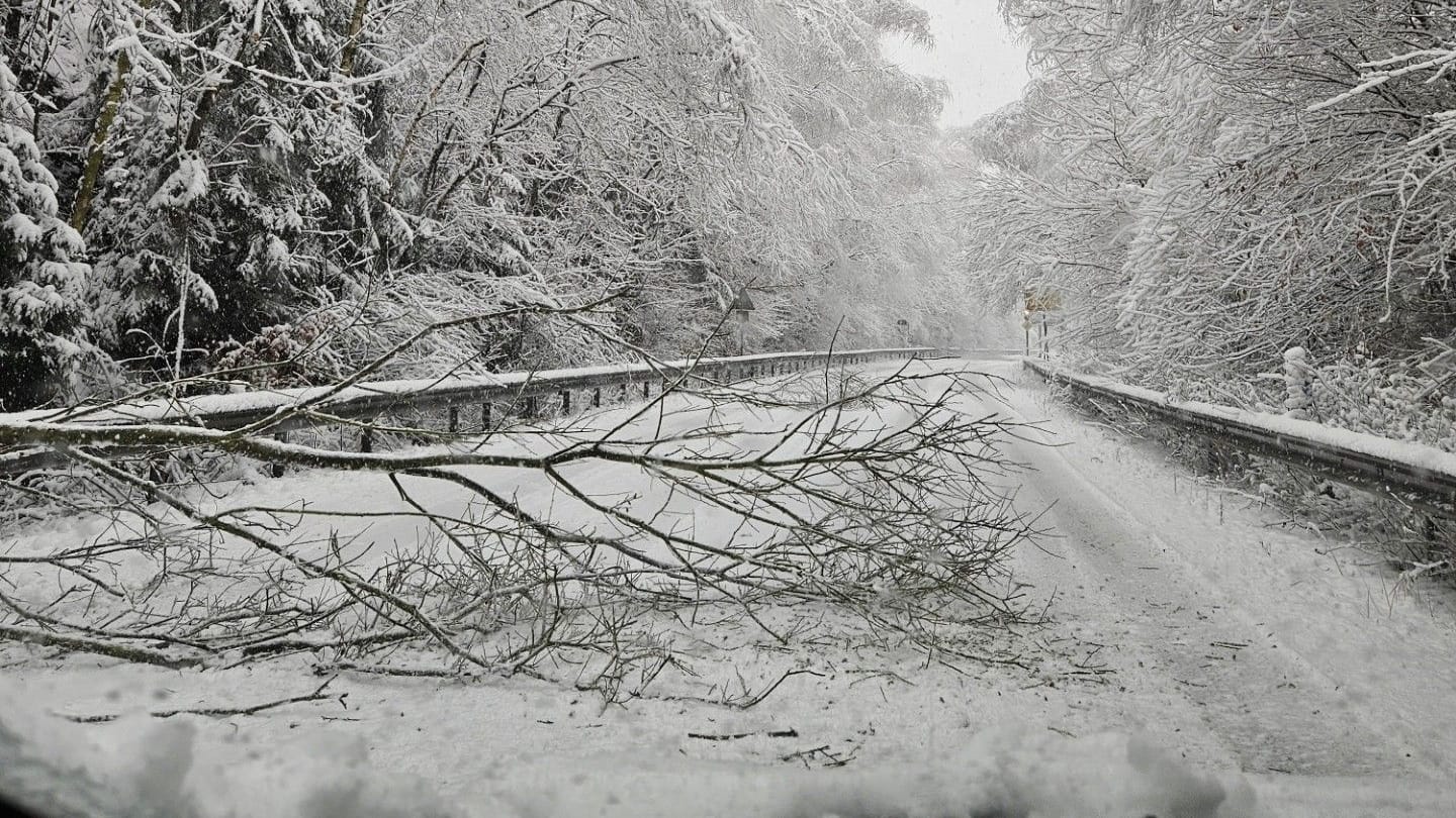 Ein umgestürzter Baum liegt auf der Straße zwischen Stolberg und Eschweiler.