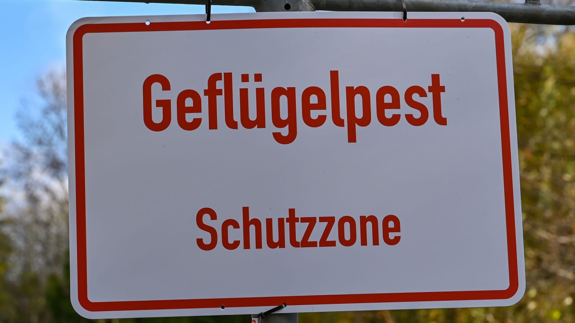 Schild Geflügelpest