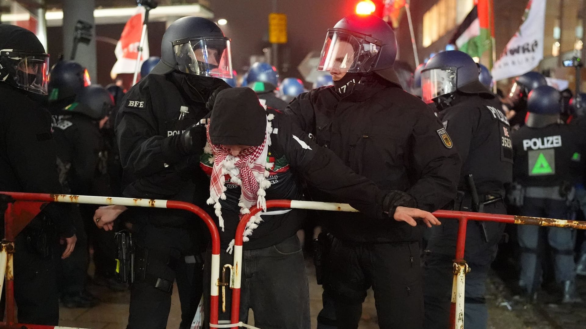 Polizisten führen einen Teilnehmer einer Demonstration gegen die AfD vor dem Hamburger Rathaus ab.