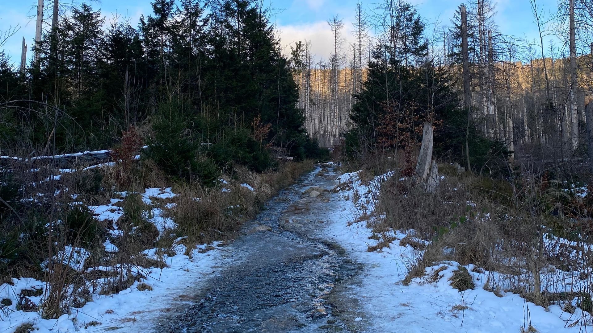 Die Bodefälle in Braunlage: Entlang des Flusses gibt es malerische Wanderwege.