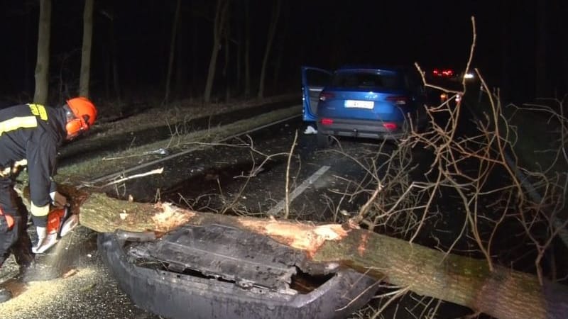 Ein Baum stürzte in Meppen (Landkreis Emsland) auf die Straße und eine Autofahrerin fuhr mit ihrem Wagen dagegen. Die 60-Jährige wurde bei dem Unfall leicht verletzt.