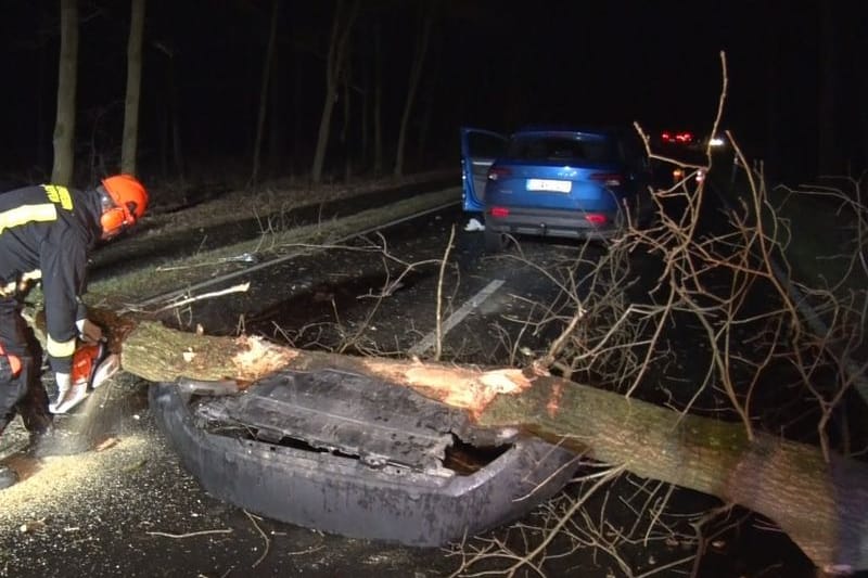 Ein Baum stürzte in Meppen (Landkreis Emsland) auf die Straße und eine Autofahrerin fuhr mit ihrem Wagen dagegen. Die 60-Jährige wurde bei dem Unfall leicht verletzt.