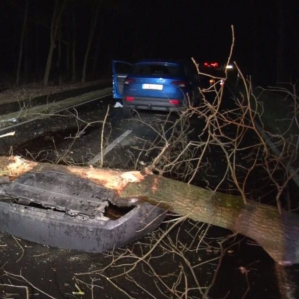 Ein Baum stürzte in Meppen (Landkreis Emsland) auf die Straße und eine Autofahrerin fuhr mit ihrem Wagen dagegen. Die 60-Jährige wurde bei dem Unfall leicht verletzt.