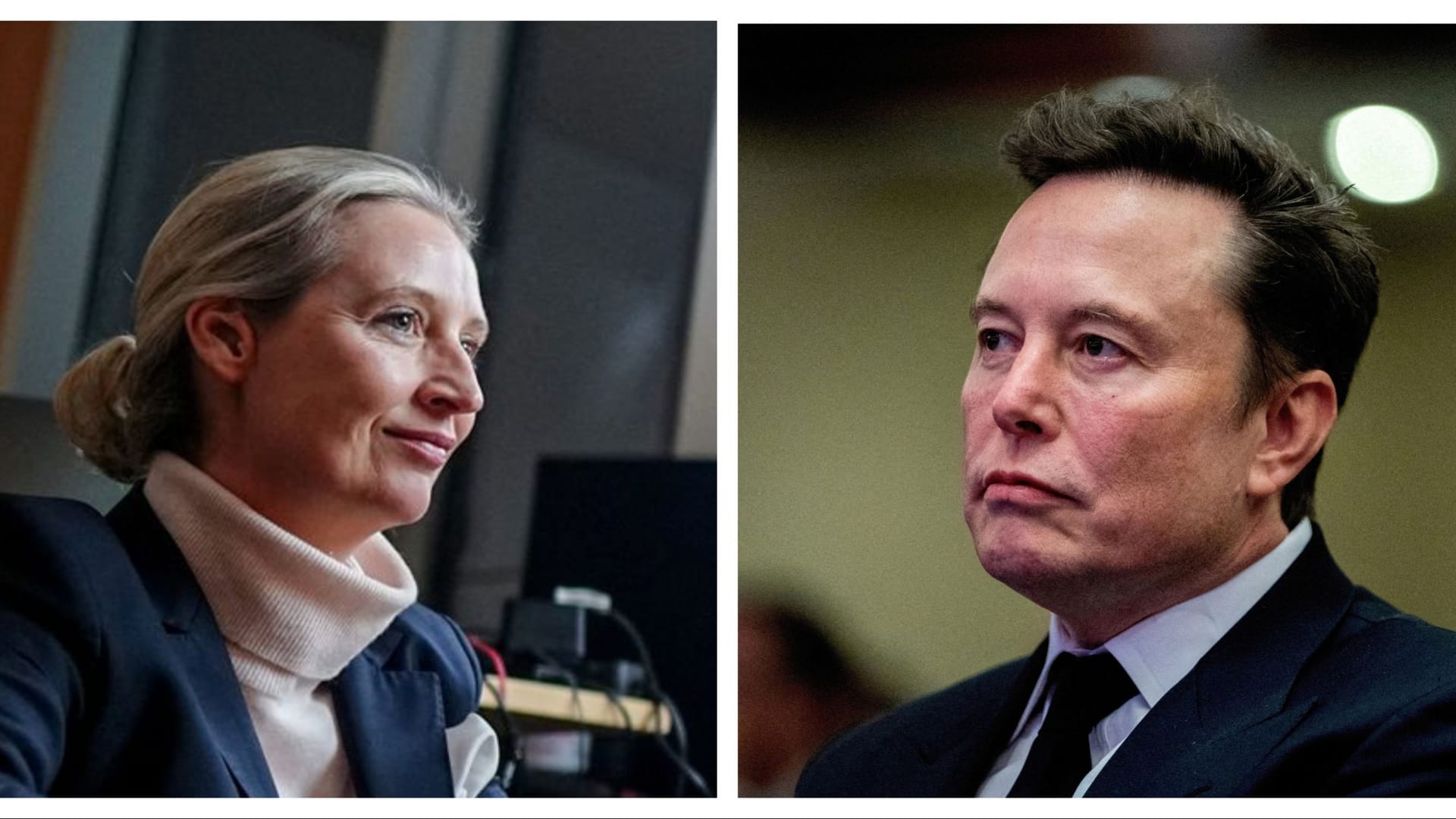 AfD-Chefin Alice Weidel und Elon Musk: Die beiden unterhielten sich am Donnerstag.