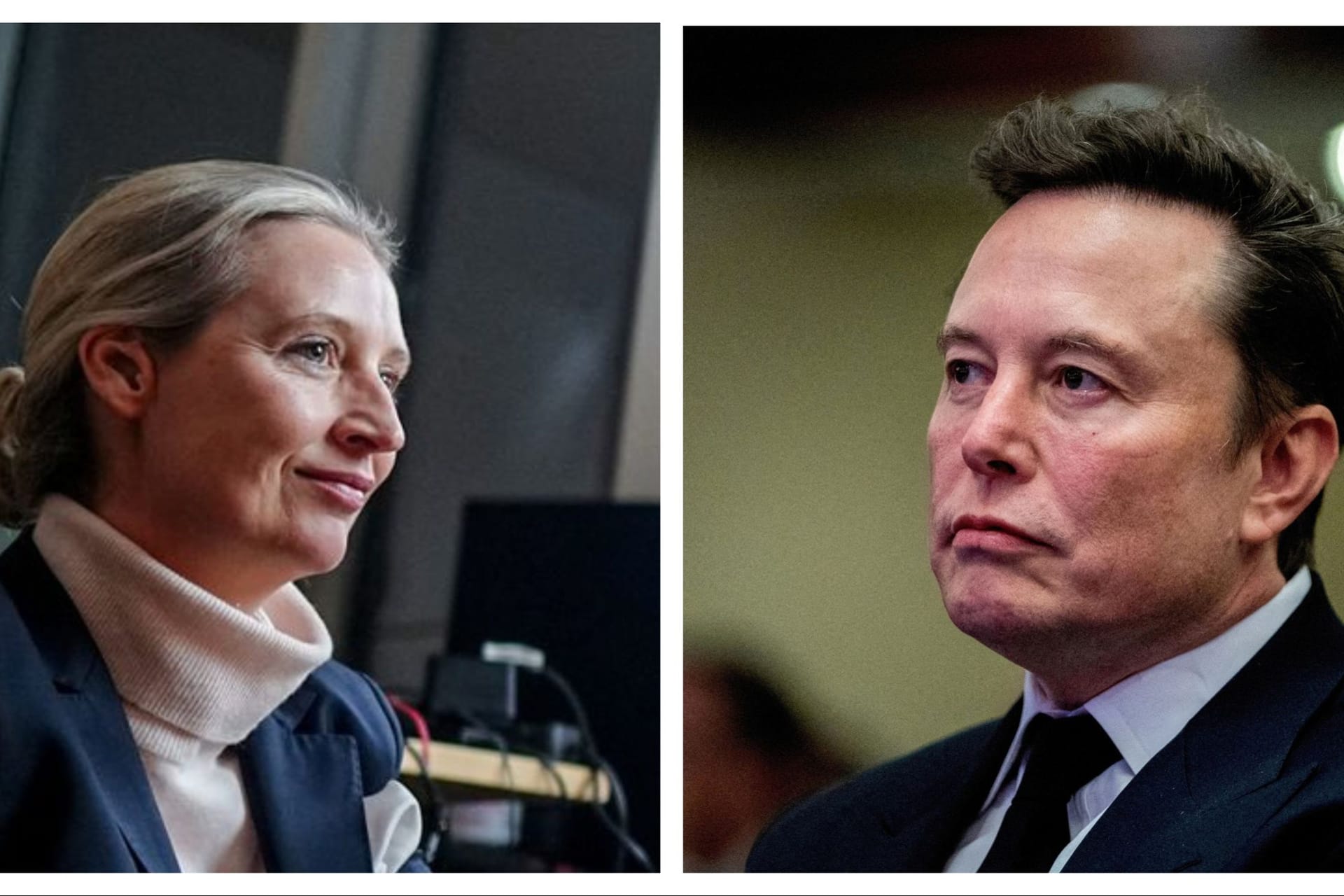 AfD-Chefin Alice Weidel und Elon Musk: Die beiden unterhielten sich am Donnerstag.