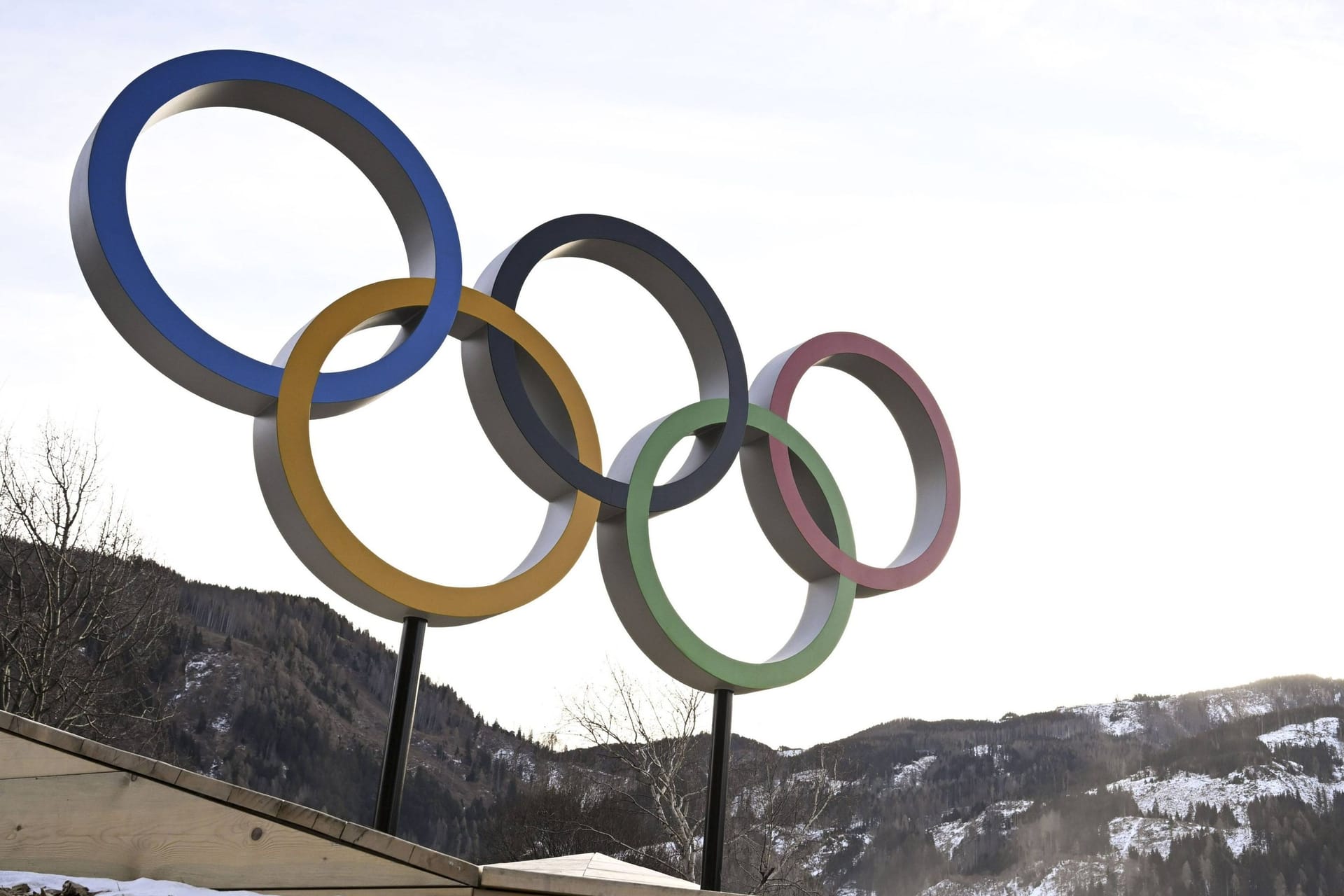 Die Olympischen Ringe: Eine ehemalige Athletin hat auf ihren Nachbarn geschossen.