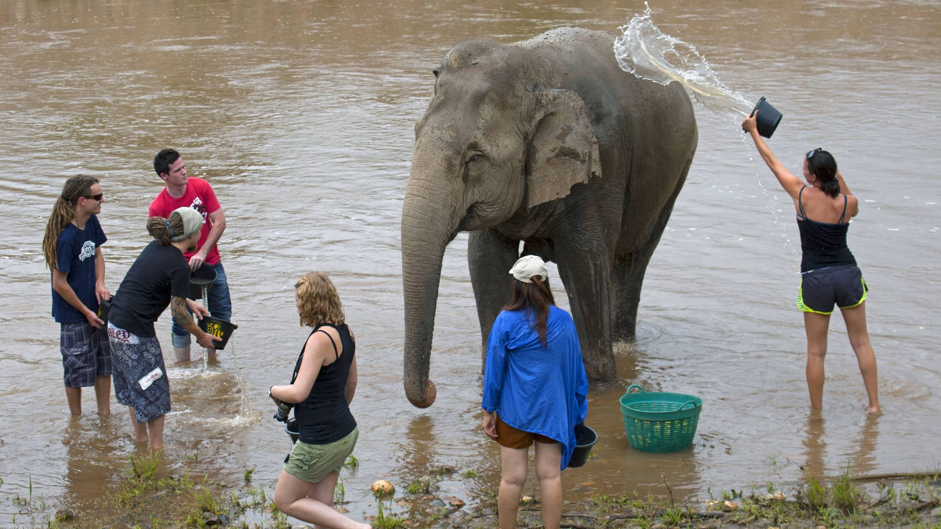 Elefantenbaden in Thailand: Dickhäuter abzuschrubben, gilt als eine Hauptattraktion für Touristen.