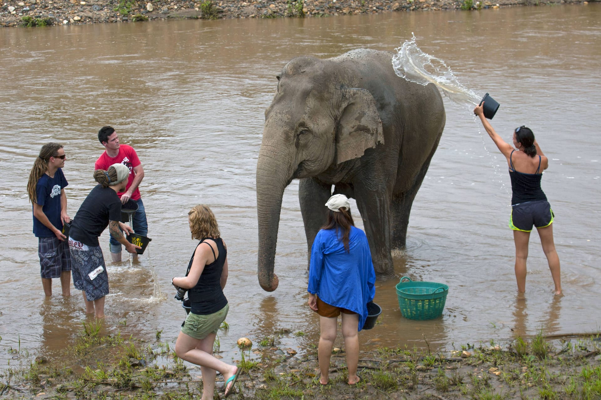 Elefantenbaden in Thailand: Dickhäuter abzuschrubben, gilt als eine Hauptattraktion für Touristen.