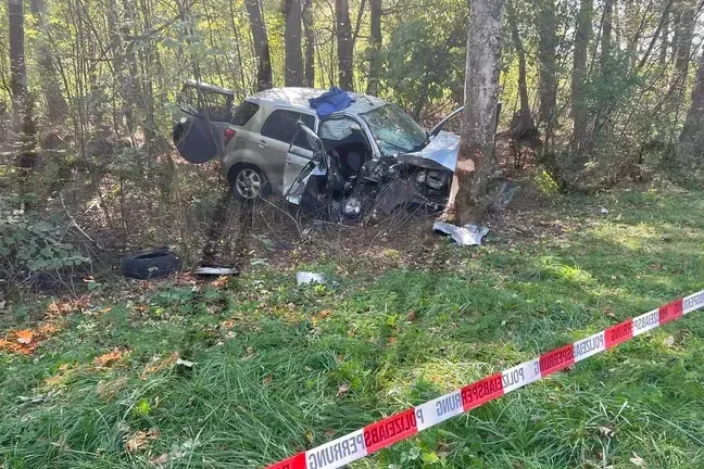 Ein Auto prallt gegen einen Baum (Archivbild): Eine Mutter, die anschließend ihre beiden Söhne mit einem Messer attackierte, steht nun vor Gericht.