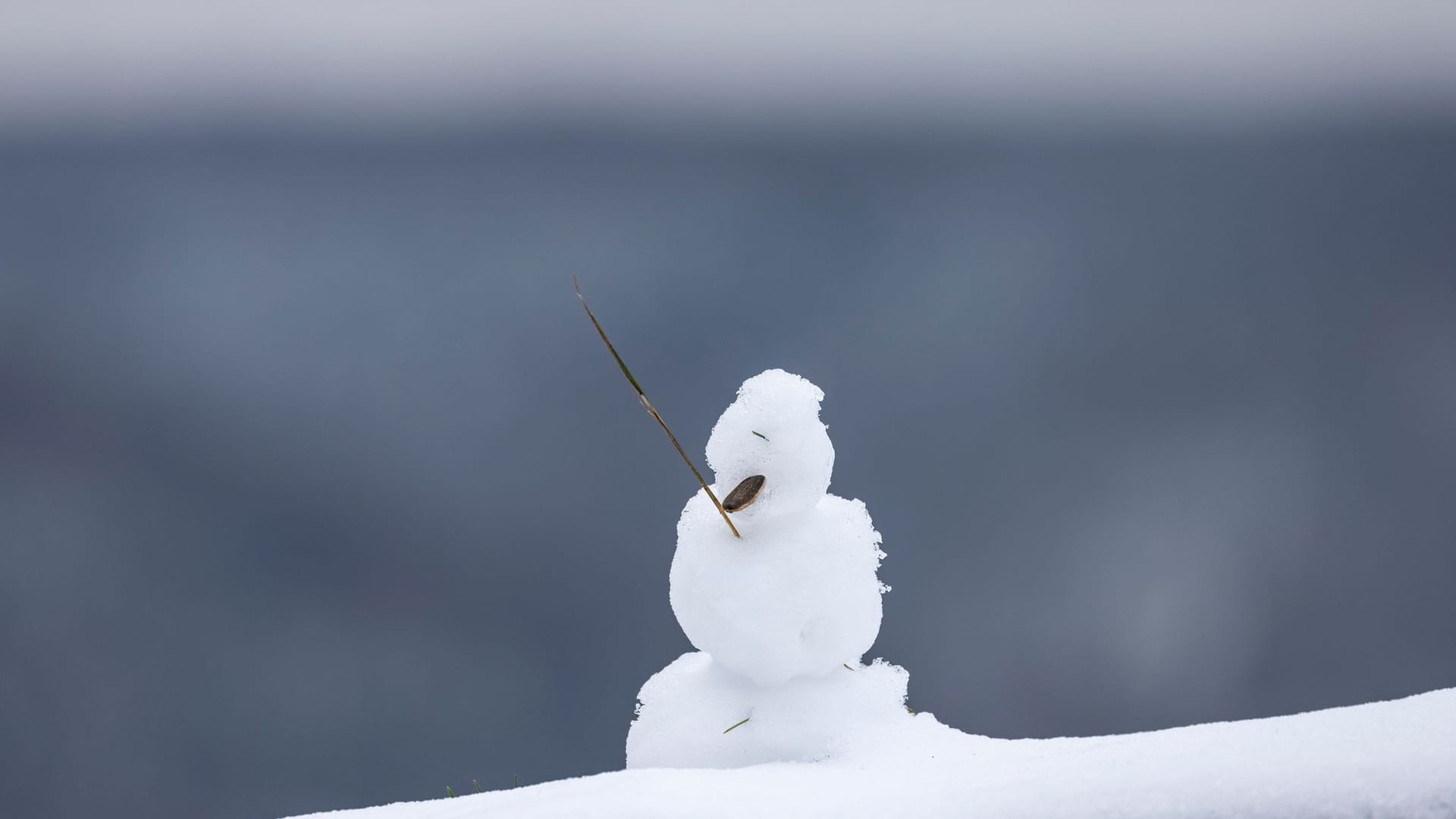 Ein Schneemännchen