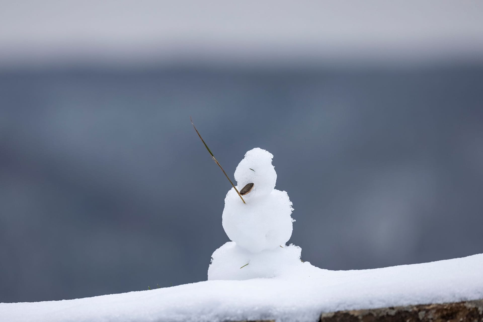 Ein Schneemännchen