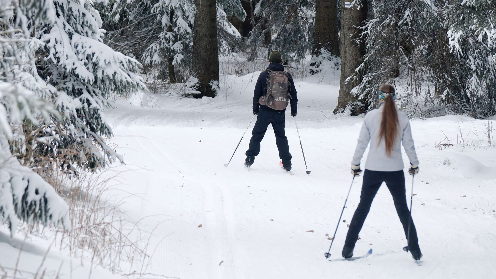 Winterwetter in Sachsen