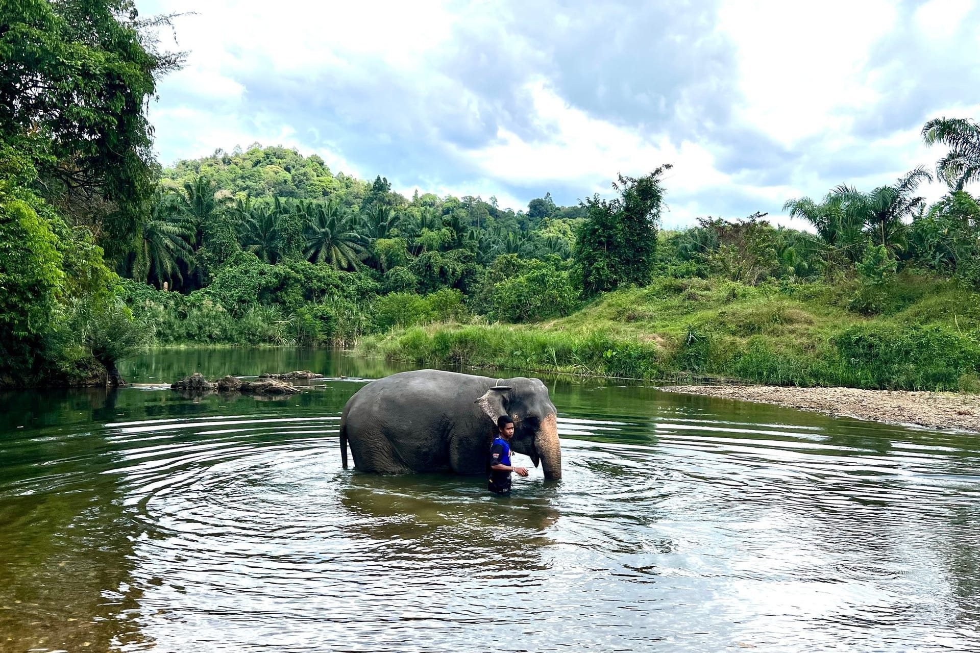 Elefantencamps in Thailand