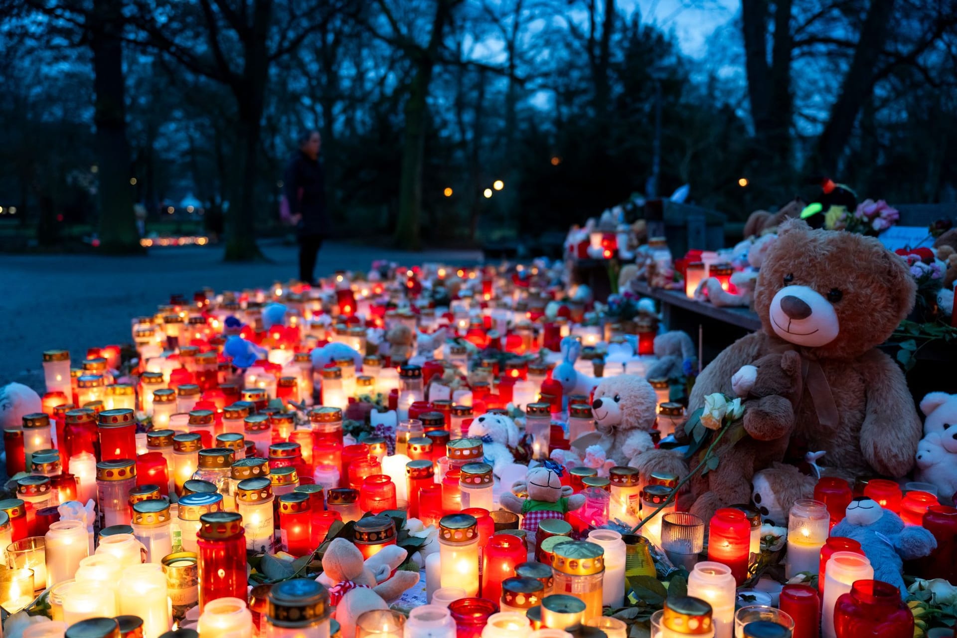 Nach tödlichem Angriff in einem Park in Aschaffenburg