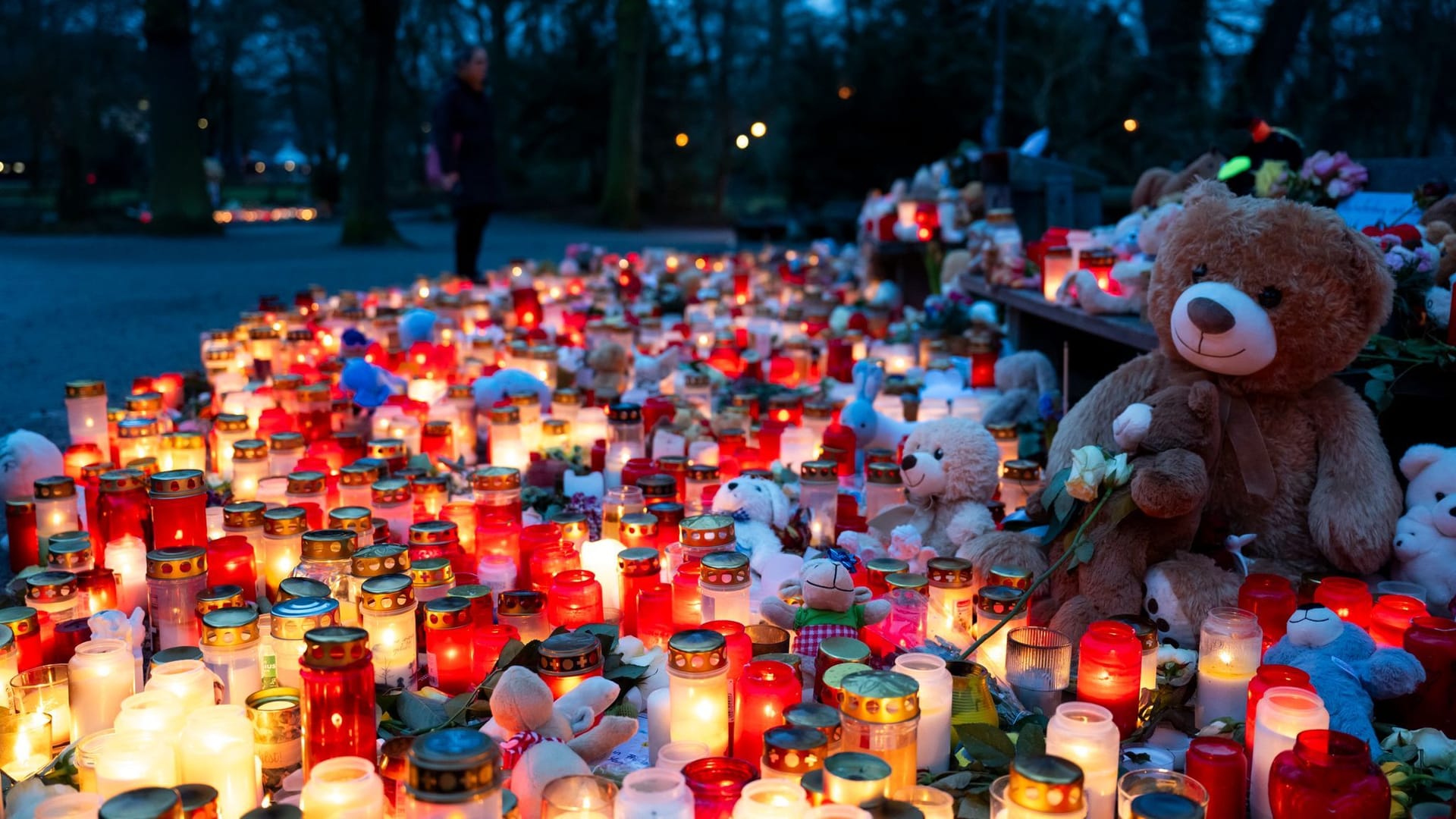 Nach tödlichem Angriff in einem Park in Aschaffenburg