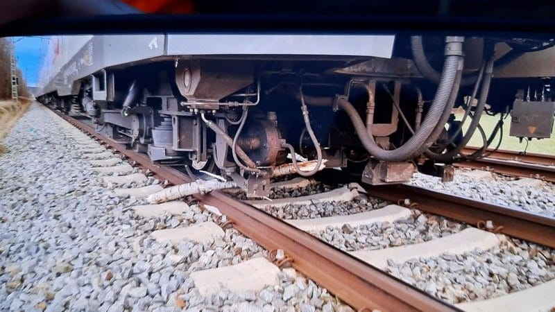 Äste des Baums liegen unter der S-Bahn: Der Lokführer konnte keine rechtzeitige Schnellbremsung mehr einleiten.