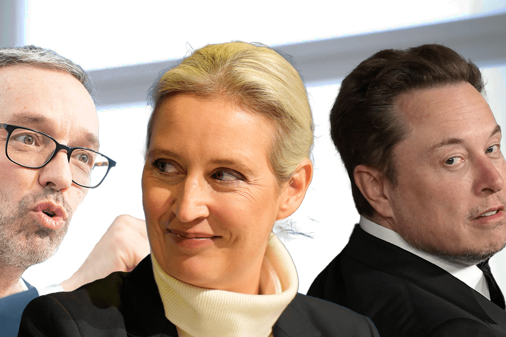 Ziehen zurzeit an einem Strang: Österreichs FPÖ-Chef Herbert Kickl, AfD-Chefin Alice Weidel, Trump-Berater Elon Musk.