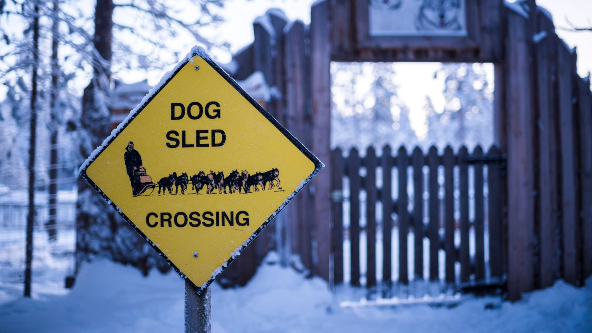 Funny dog sled crossing sign in Lapland, Arctic Circle, Finland, Europe