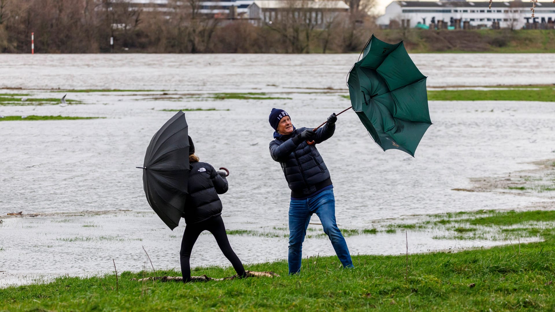 Spaziergänger am Rhein in Düsseldorf (Symbolfoto): Der Freitag wird stürmisch.