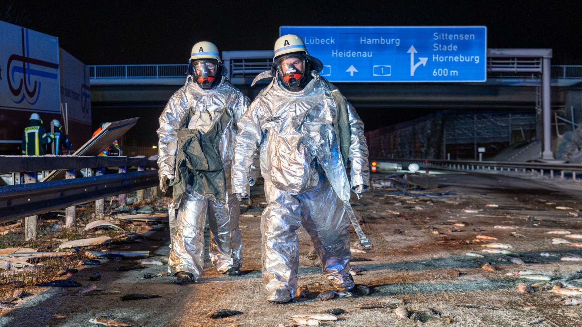 Unfall mit Forellenlaster