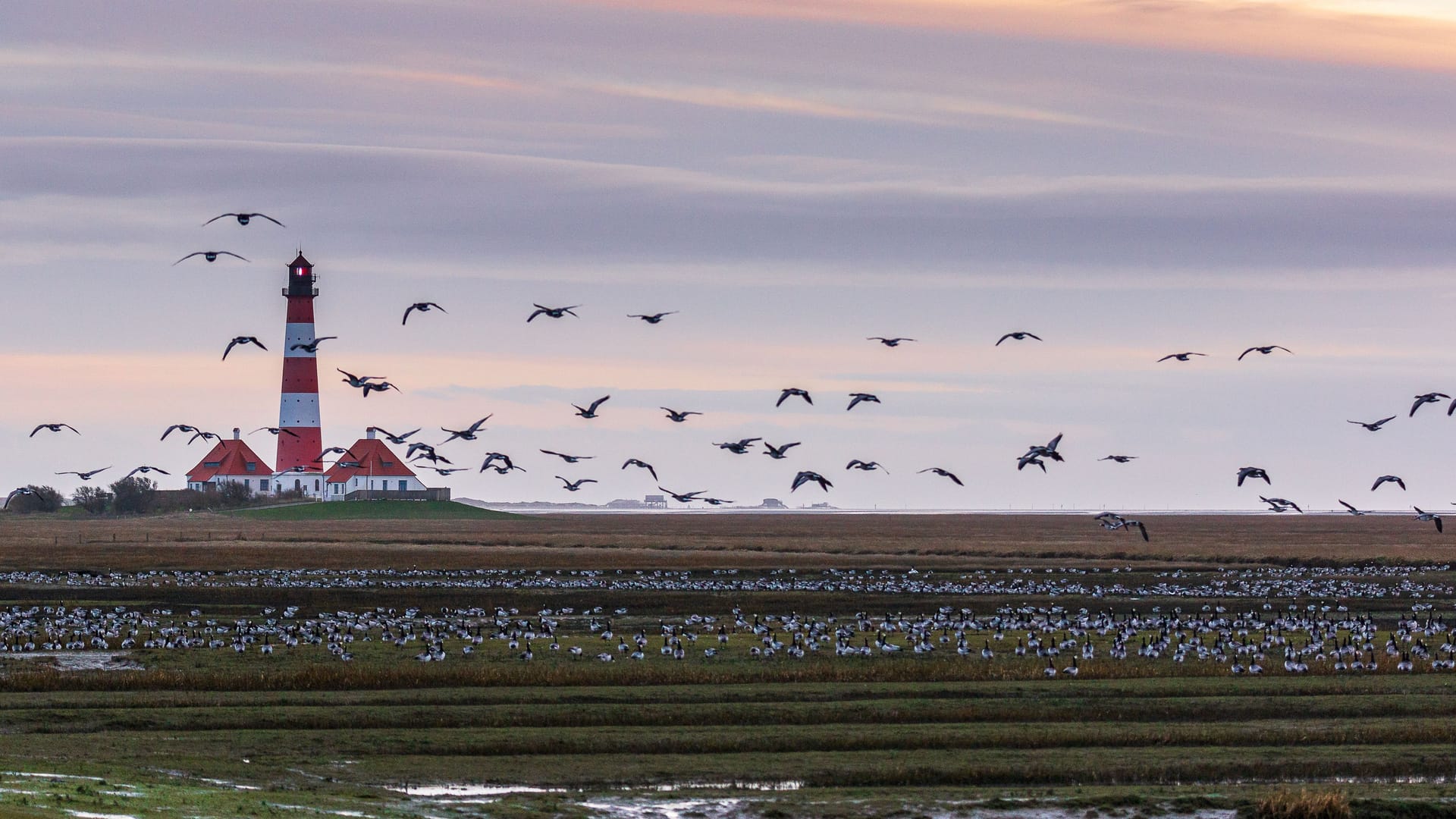 Scenic view of the lighthouse with birds flying in Sankt Peter Ording, Germany