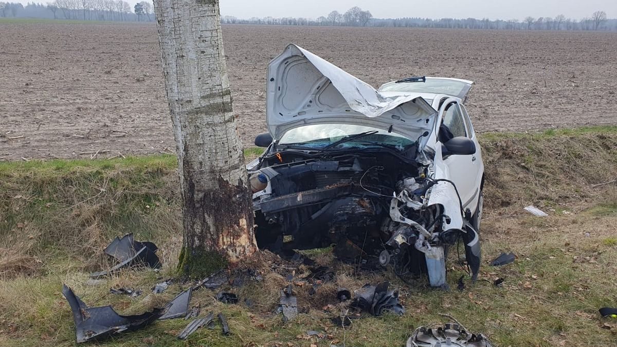 Pkw am Baum Sauensiek nach Unfall.