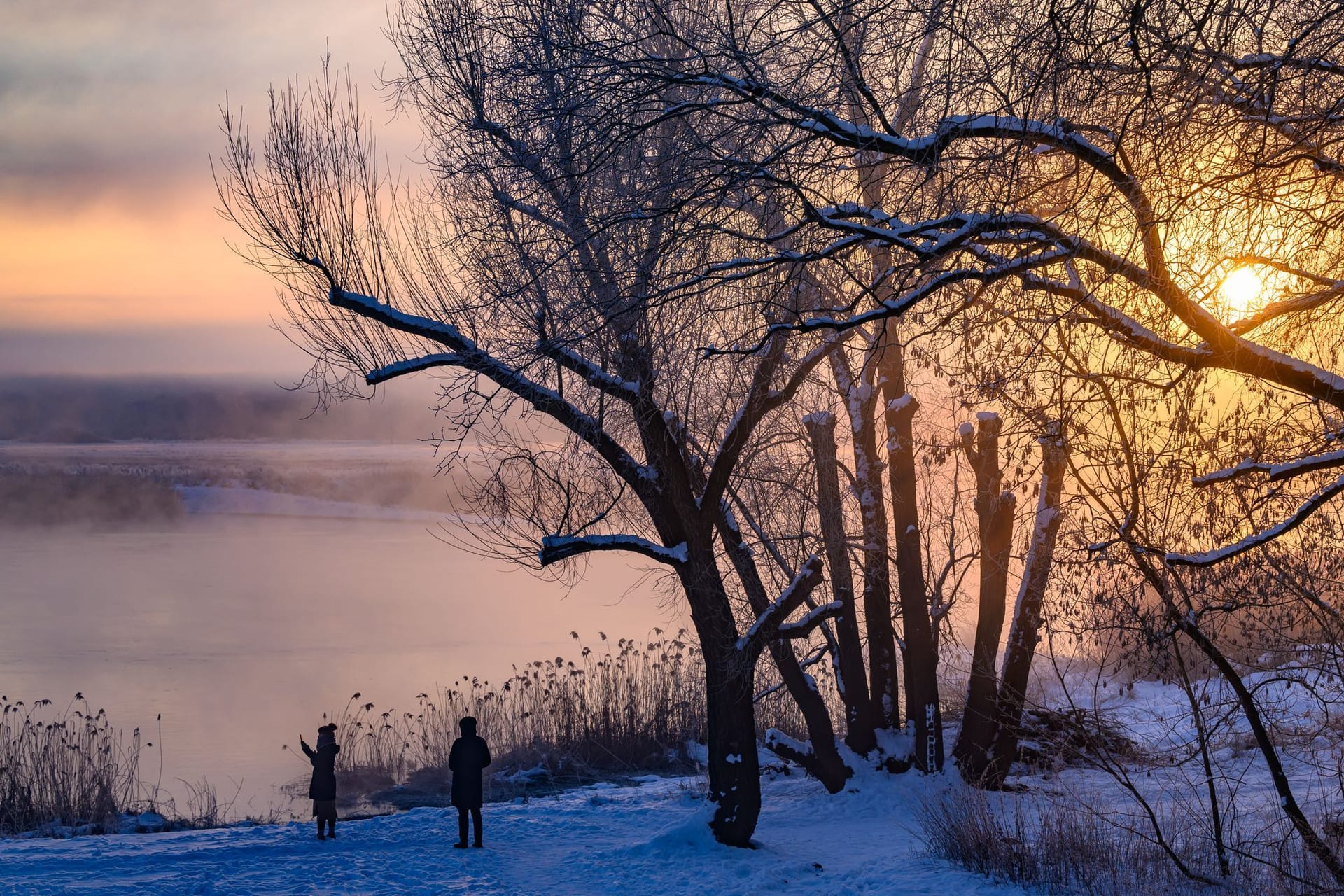 Brandenburg:: Farbenprächtiger Sonnenaufgang über dem deutsch-polnischen Grenzfluss Oder. An diesem Morgen zeigte das Thermometer minus 15 Grad Celsius an.