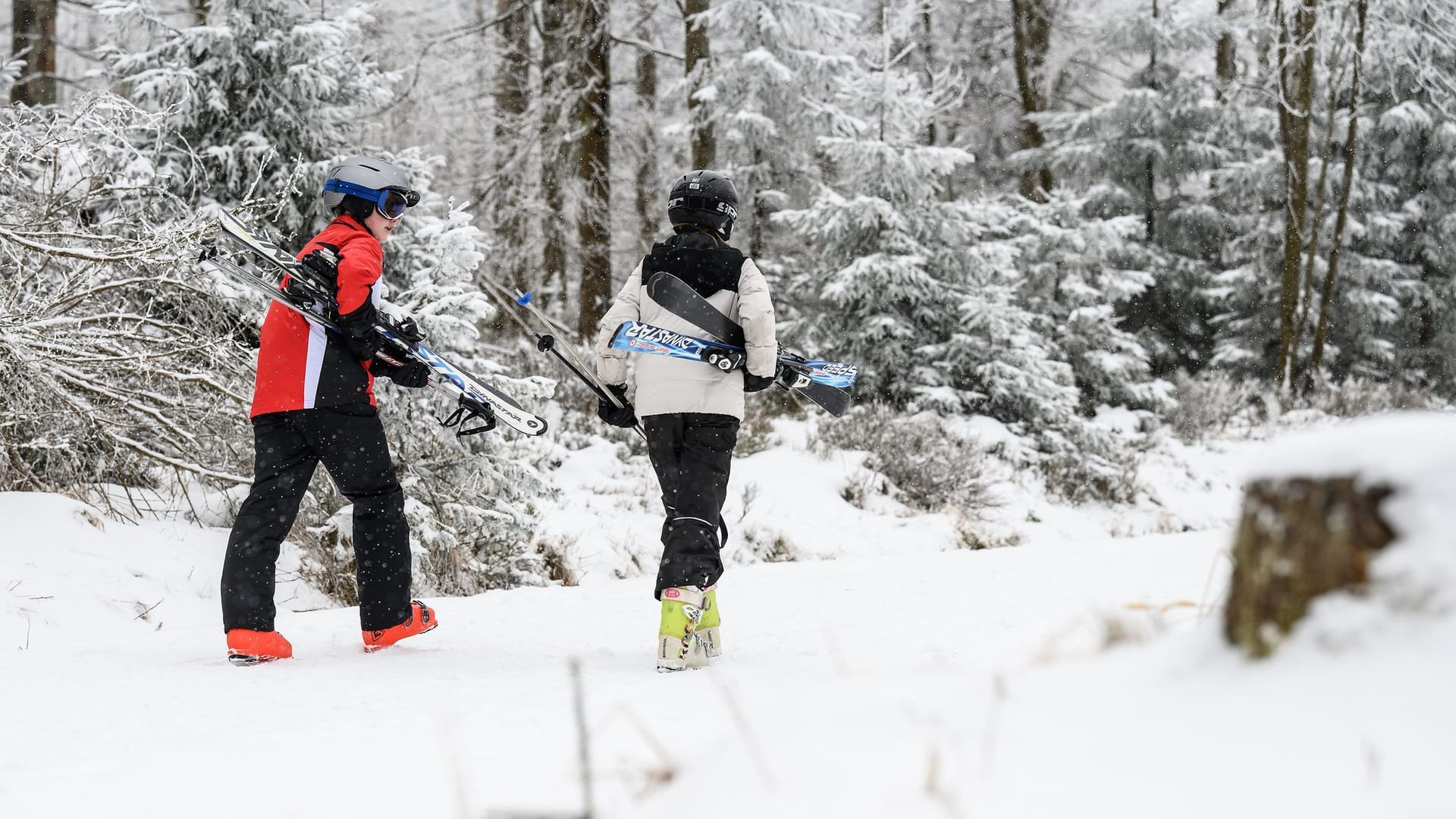 Winter im Harz