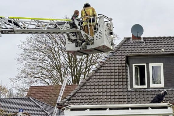 Kein vor und kein zurück: Für den Hund brauchte es die Feuerwehr, um wieder sicher am Boden anzulangen.