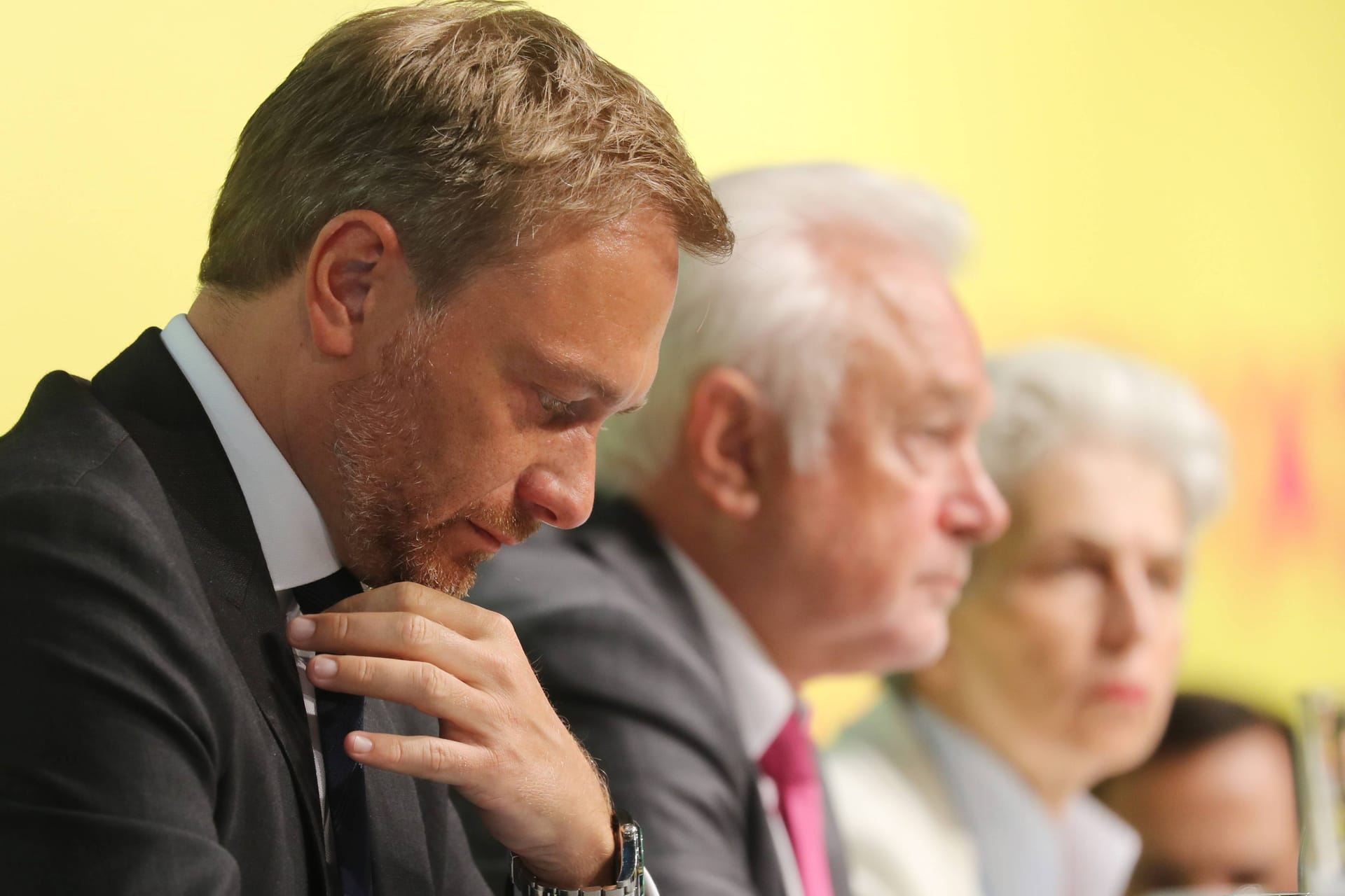 Christian Lindner, Wolfgang Kubicki und Marie-Agnes Strack-Zimmermann: Nach Lindners Rücktritt haben beide Interesse an der Nachfolge gezeigt.