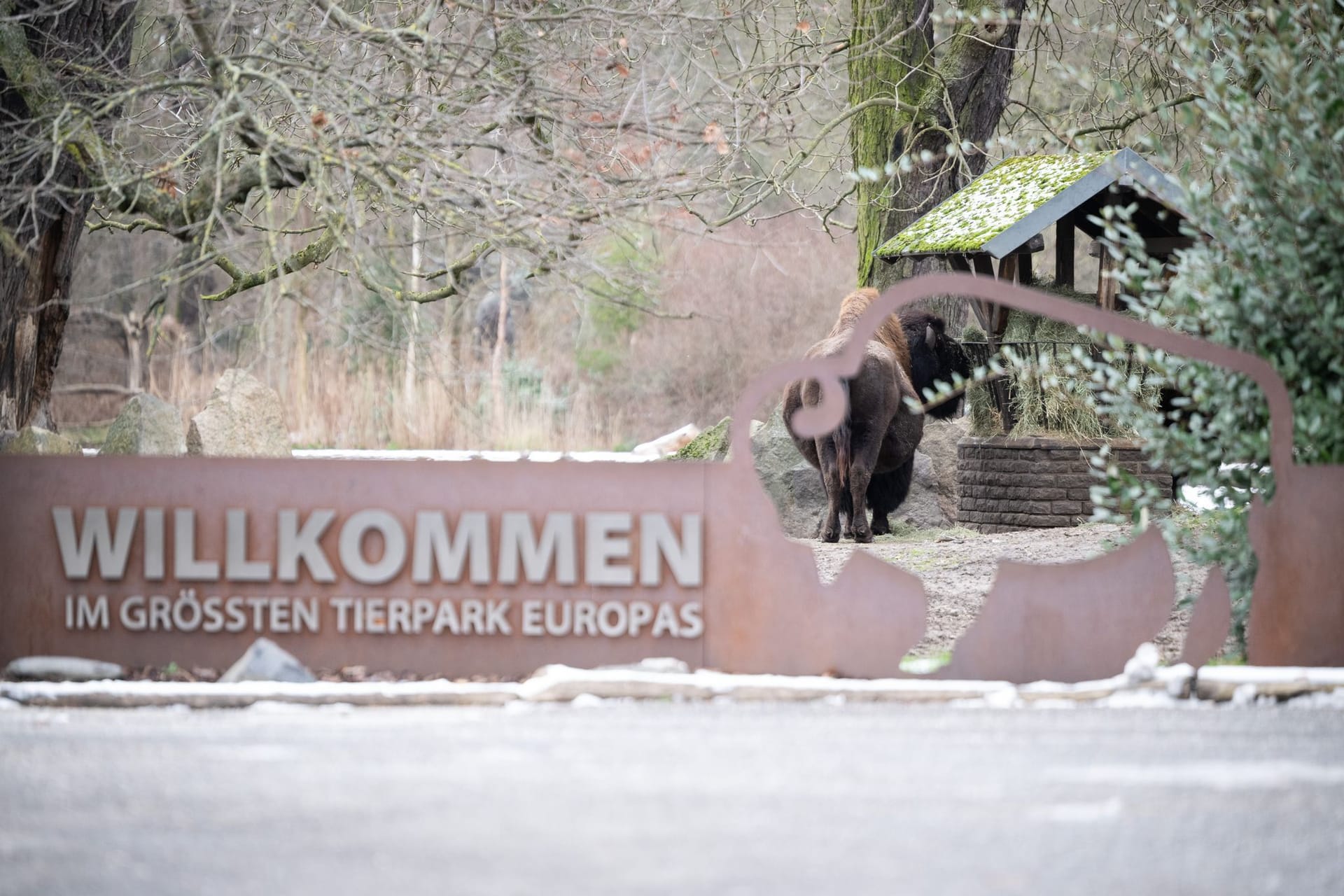 Maul- und Klauenseuche in Brandenburg - Tierpark Berlin