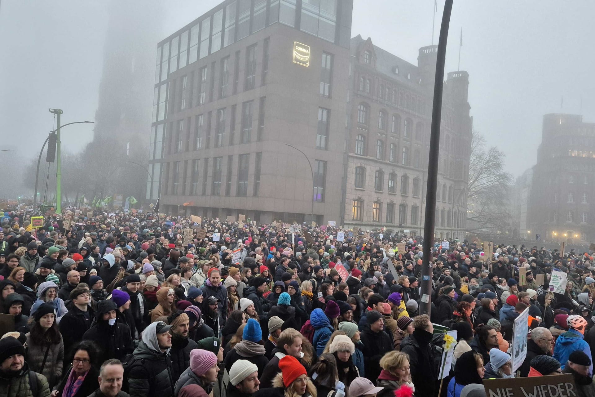 Demonstrierende in Hamburg: Die bekannte Klimaaktivistin Luisa Neubauer hielt eine Rede.