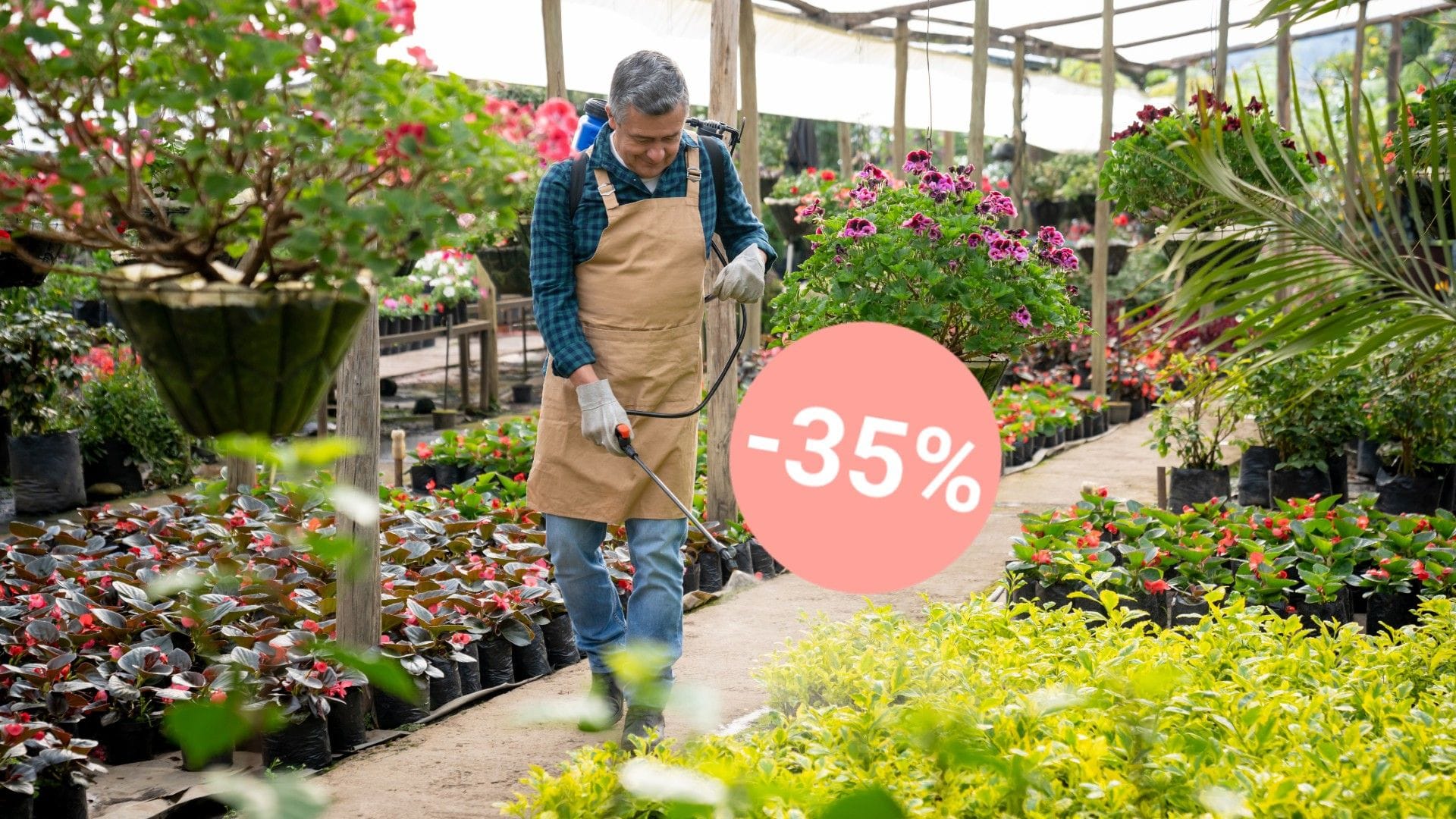 Mit gezielter Schädlingsbekämpfung stellen Sie sicher, dass Ihr Obst und Gemüse gesund bleibt und nicht ungenießbar wird. (Synbolbild)