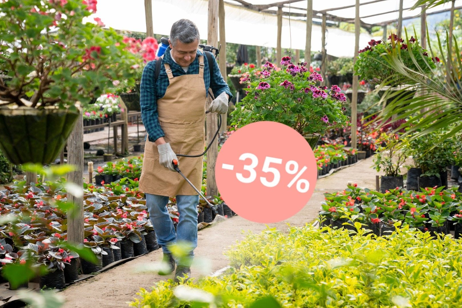 Mit gezielter Schädlingsbekämpfung stellen Sie sicher, dass Ihr Obst und Gemüse gesund bleibt und nicht ungenießbar wird. (Synbolbild)