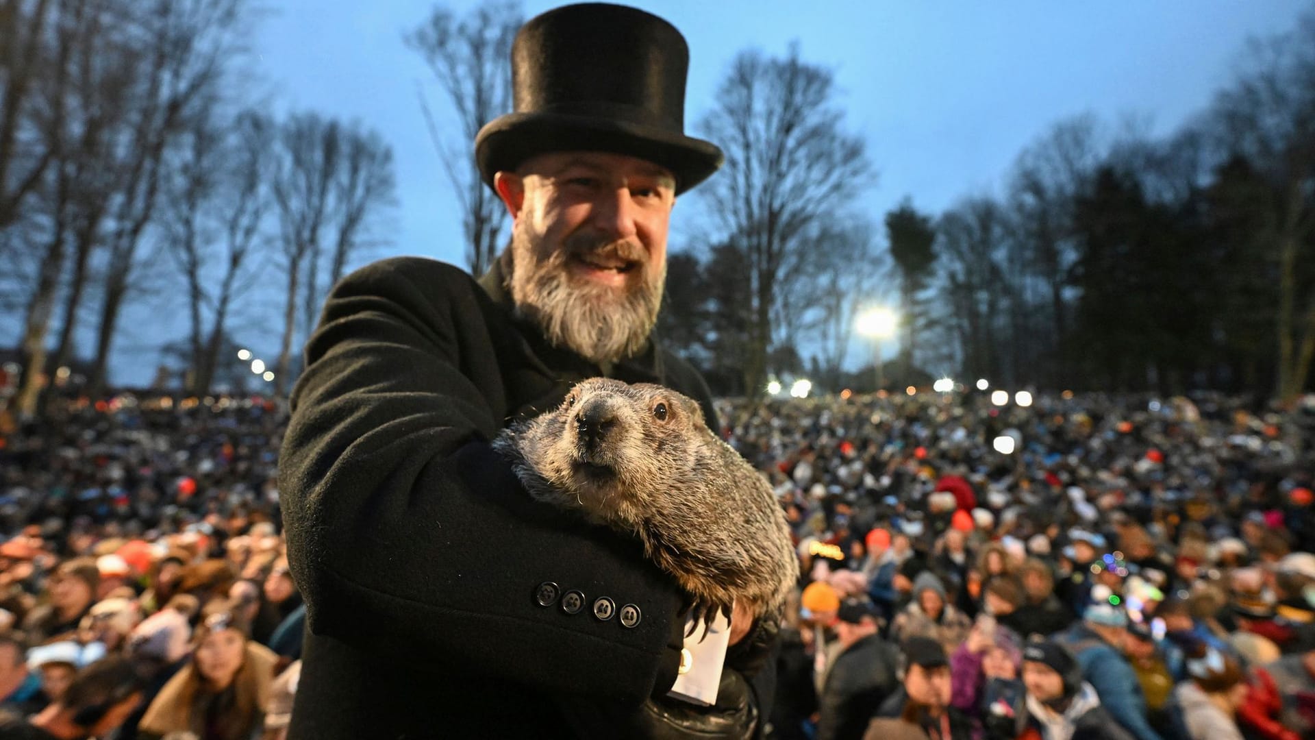 Murmeltiertag in den USA