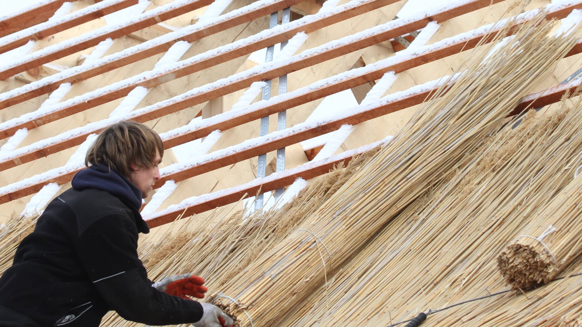 Schneebedeckter Dachstuhl: Ein Dachdecker verteilt bei eisigen Temperaturen Reet.