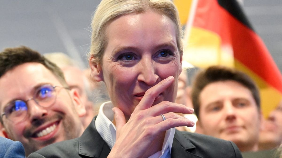 afd-feiert-wahlergebnis-geht-da-noch-mehr