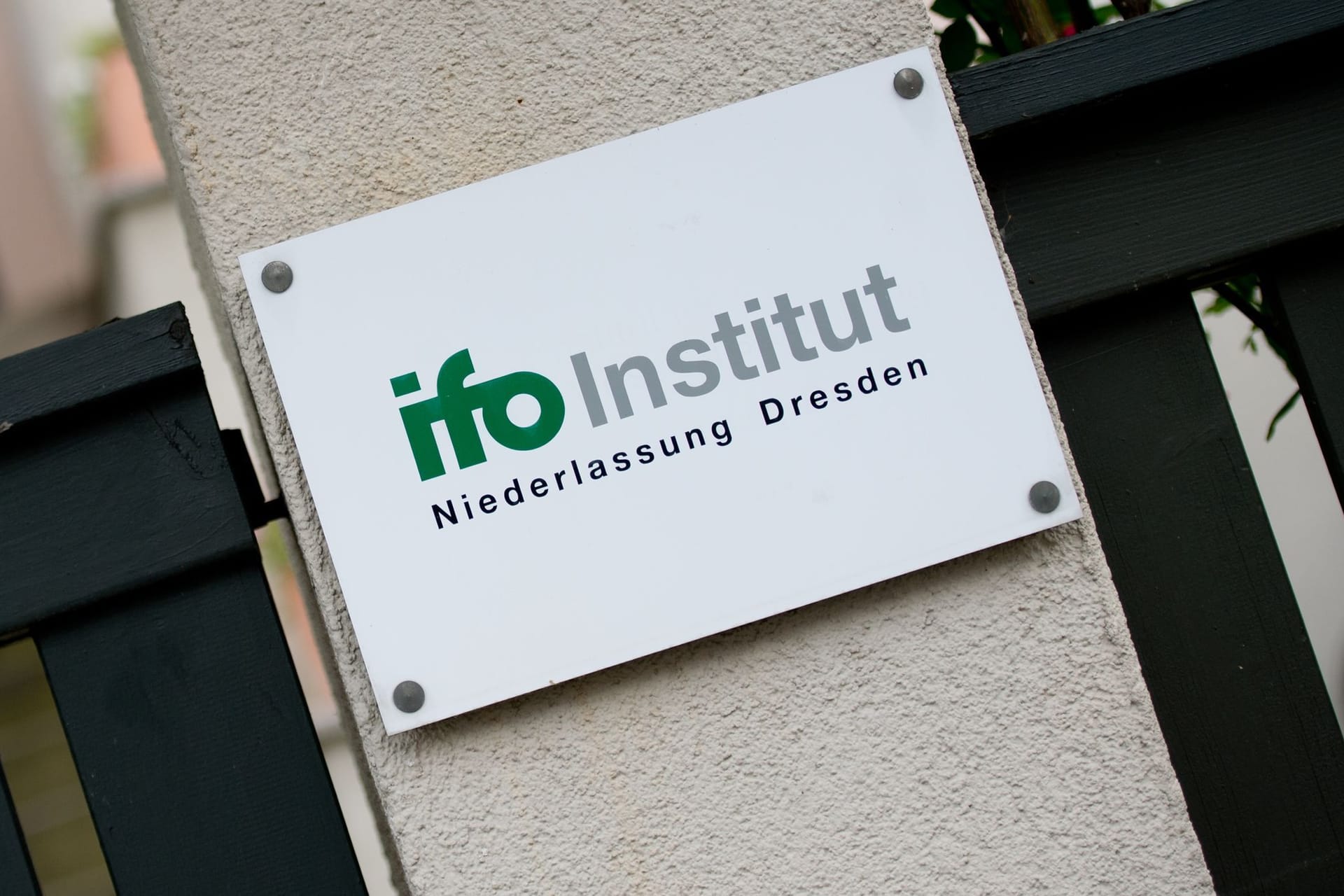 Ifo-Institut