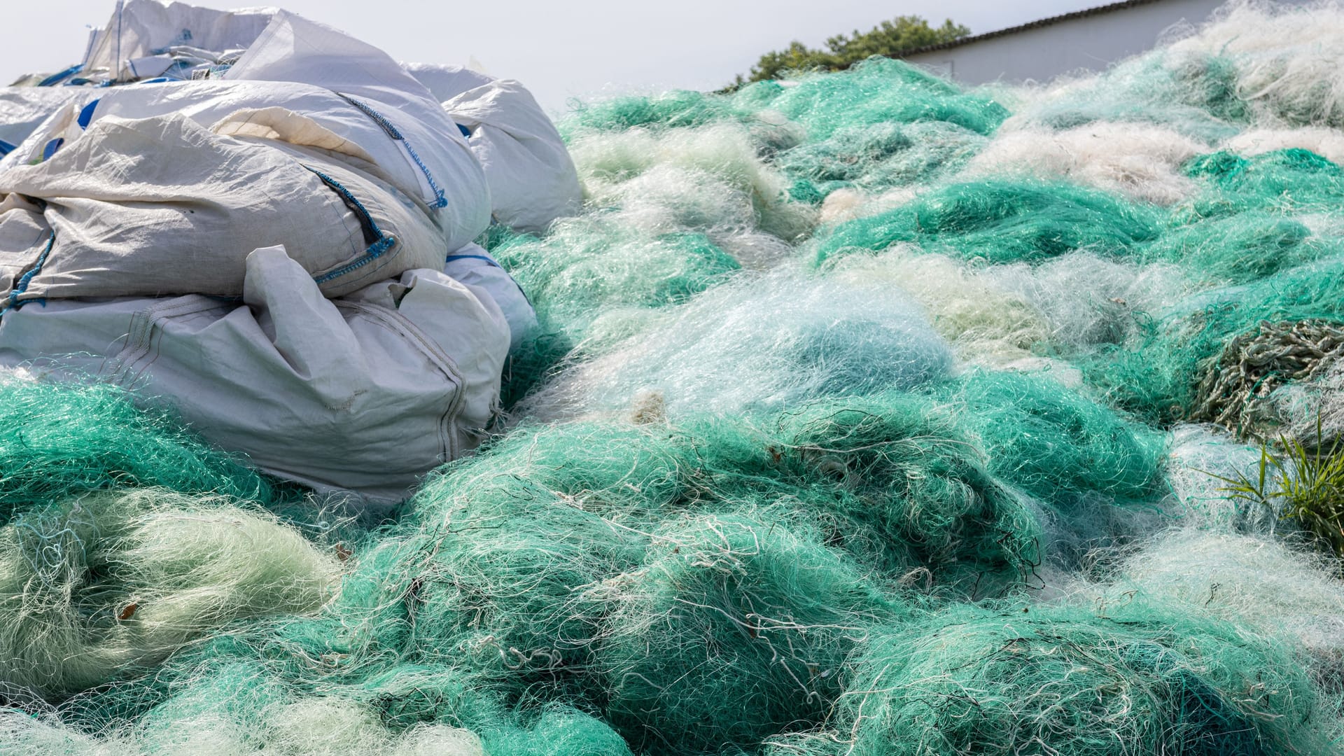 Used fishing net waiting to be recycled. Fishing industry waste