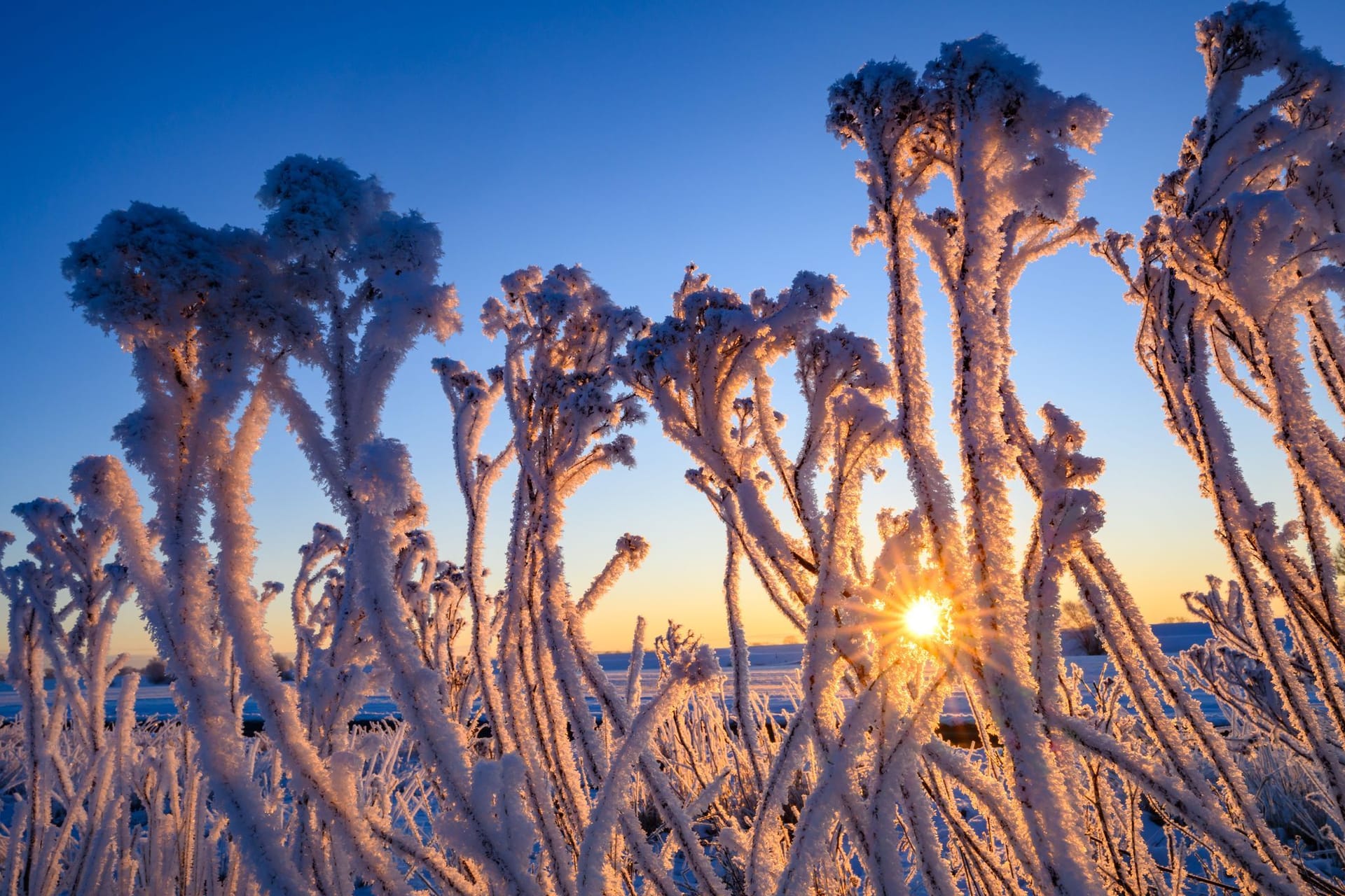 Winterwetter in Brandenburg